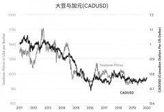 大宗商品上涨大豆也与加元关系紧密（图8）