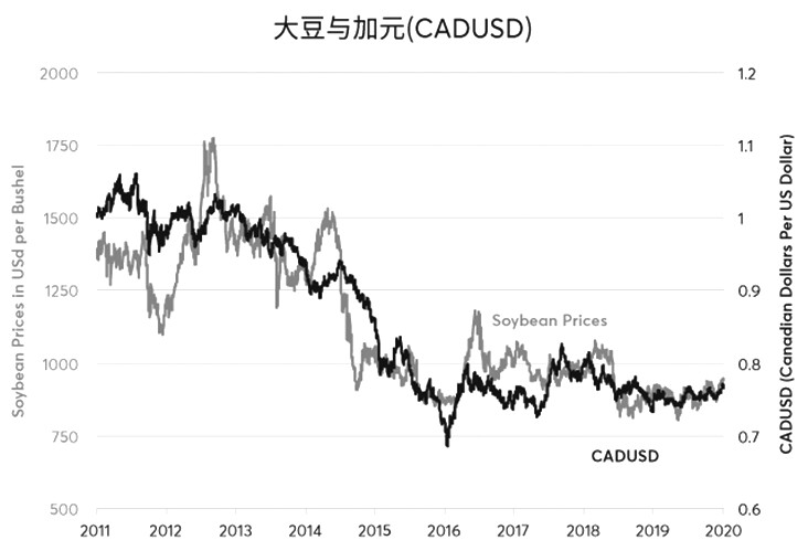 大宗商品上涨大豆也与加元关系紧密（图8）