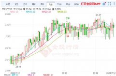 纽约白银期货新浪网加拿大5月份就业人数的下降只不过是一种与青年就业波动有关的统计异常