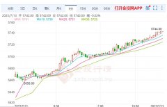 pta期货最低触及23.08美元/盎司