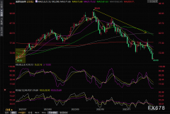 黄金期货正规平台而俄罗斯副总理诺瓦克也提出了类似的建议