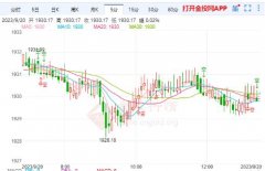 中国黄金交易所官网侵权及不实信息举报邮箱至：