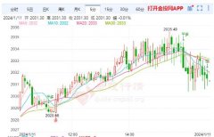 温馨提示：更多黄金行情相关内容请关注金投网APP_今日黄金期货价格