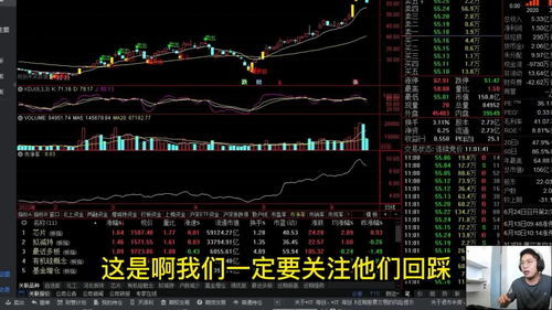 期货投资技巧回报率、价格上限和下限、波动范围、补充头寸、交易量、交易金额、每日涨幅限制、持仓成本、卖空、K线图、平均线、指标、形态、盈利退出和亏损停止、稳定投资、定量投资、市