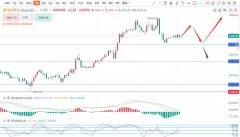 美白银期货可以来找我、我帮助你