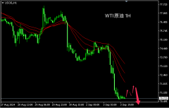 8月份中国制造业活动放缓给WTI价格带来了一些抛售压力原油期货电脑版下载