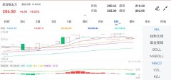 基金有模拟盘吗开盘价：202.30